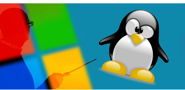 how-to-install-linux-alongside-windows
